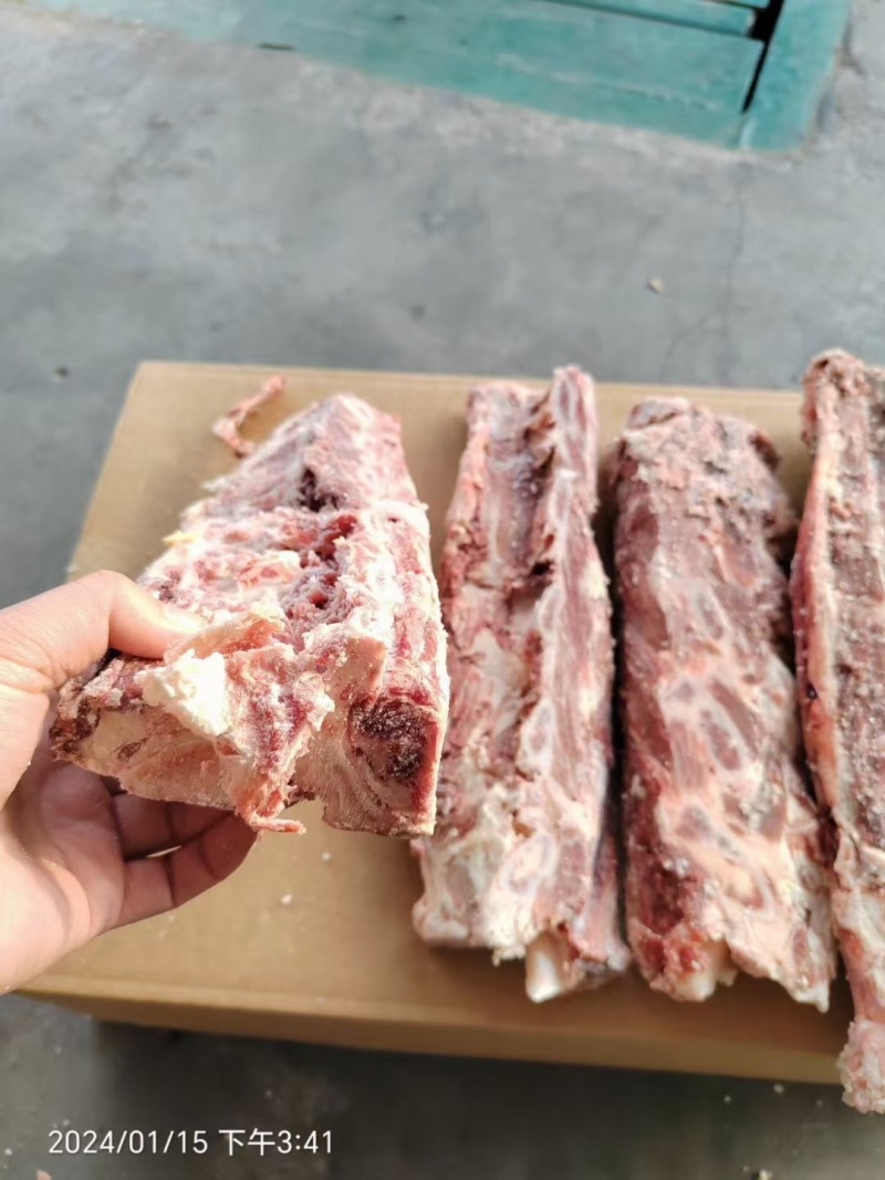 牛龙骨