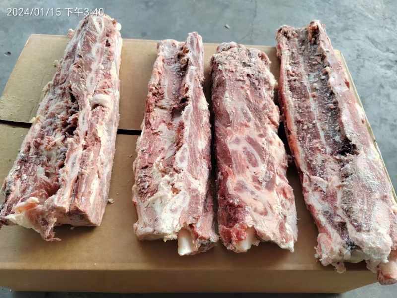 牛龙骨
