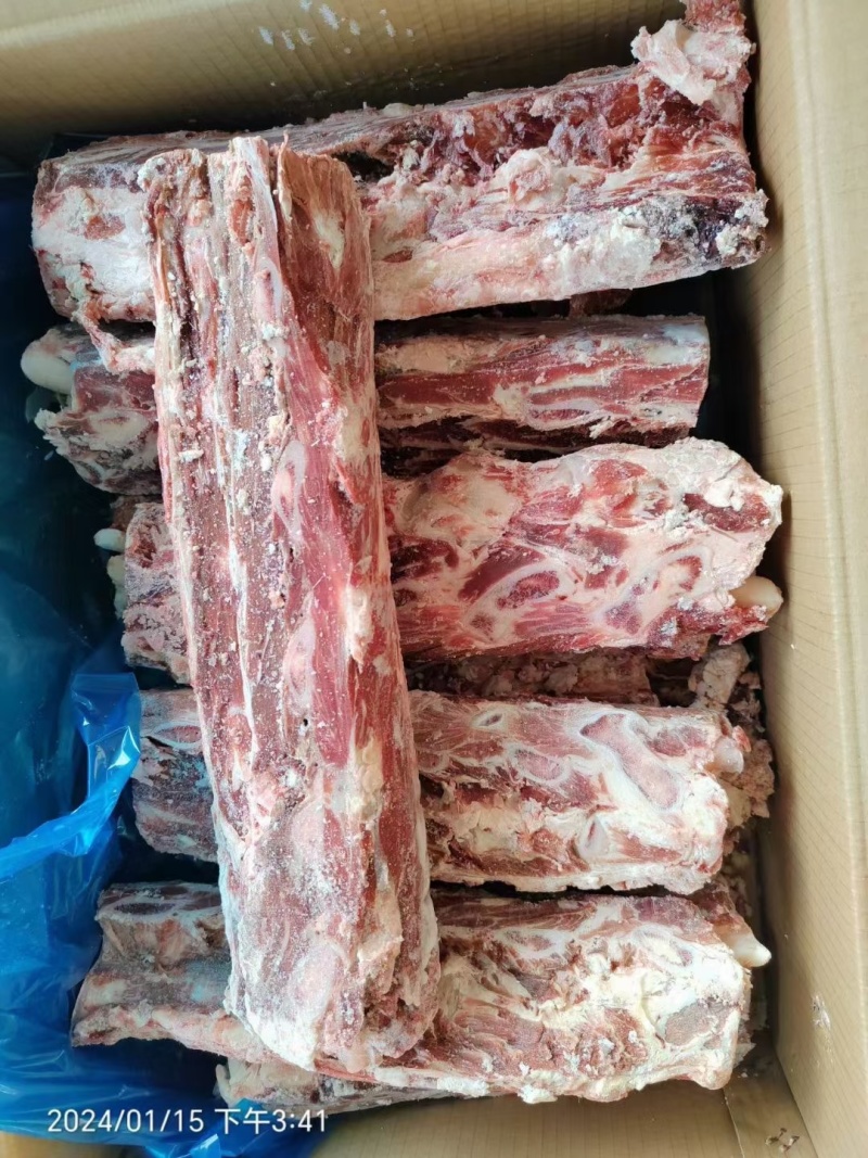牛龙骨