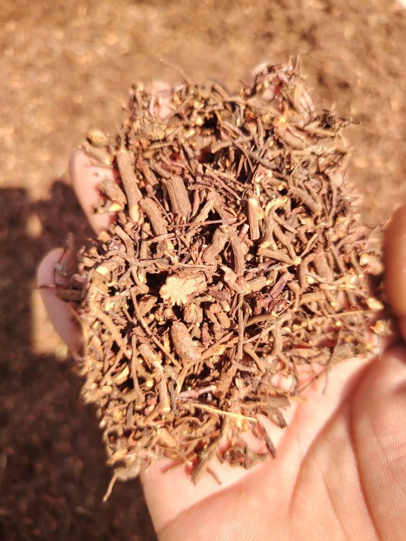 茜草饮片