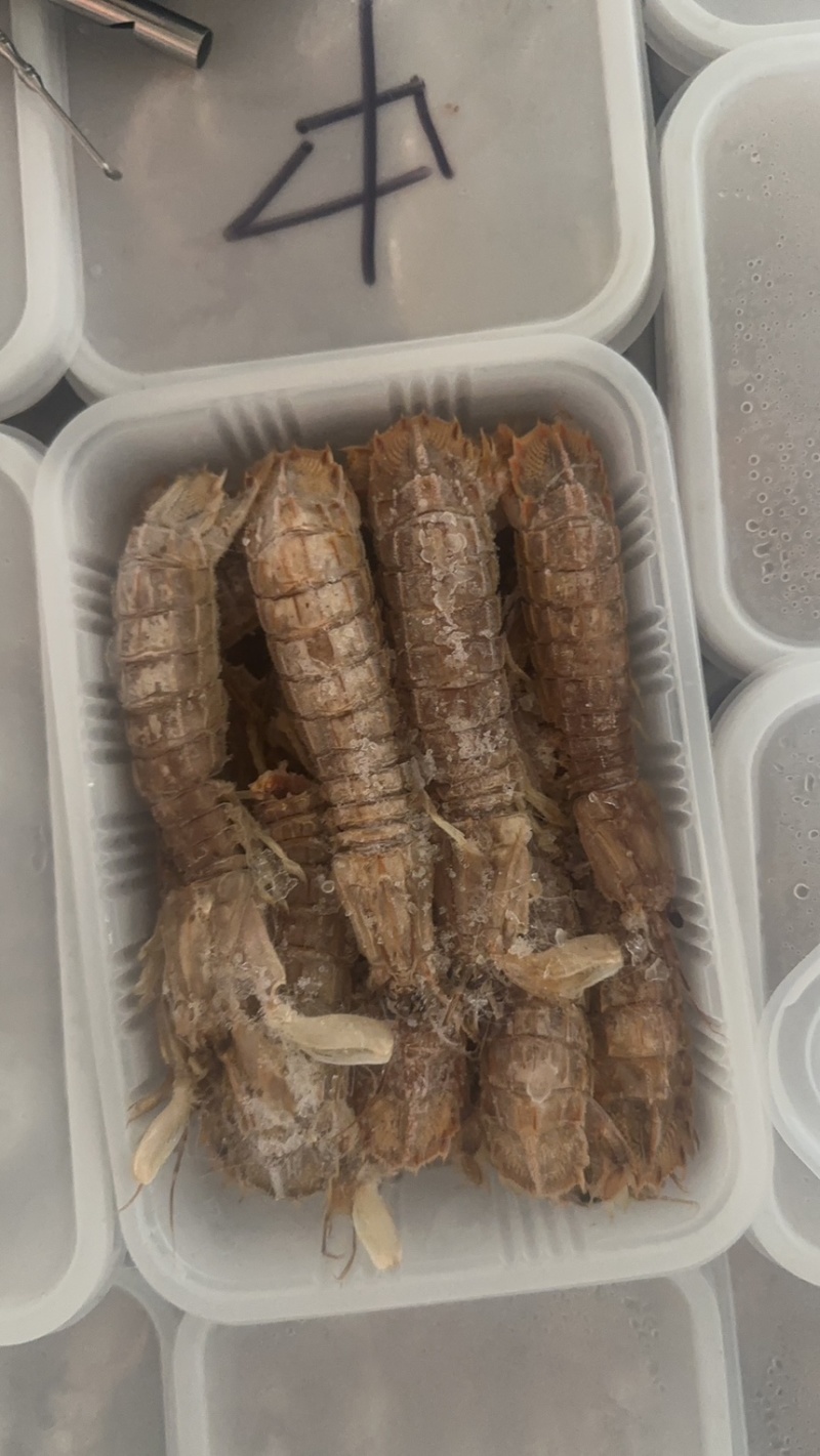 皮皮虾，爬虾，虾婆，规格齐全，品种多，批发零售