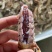 皮皮虾，爬虾，虾婆，规格齐全，品种多，批发零售