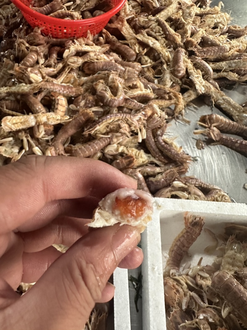 皮皮虾，爬虾，虾婆，规格齐全，品种多，批发零售