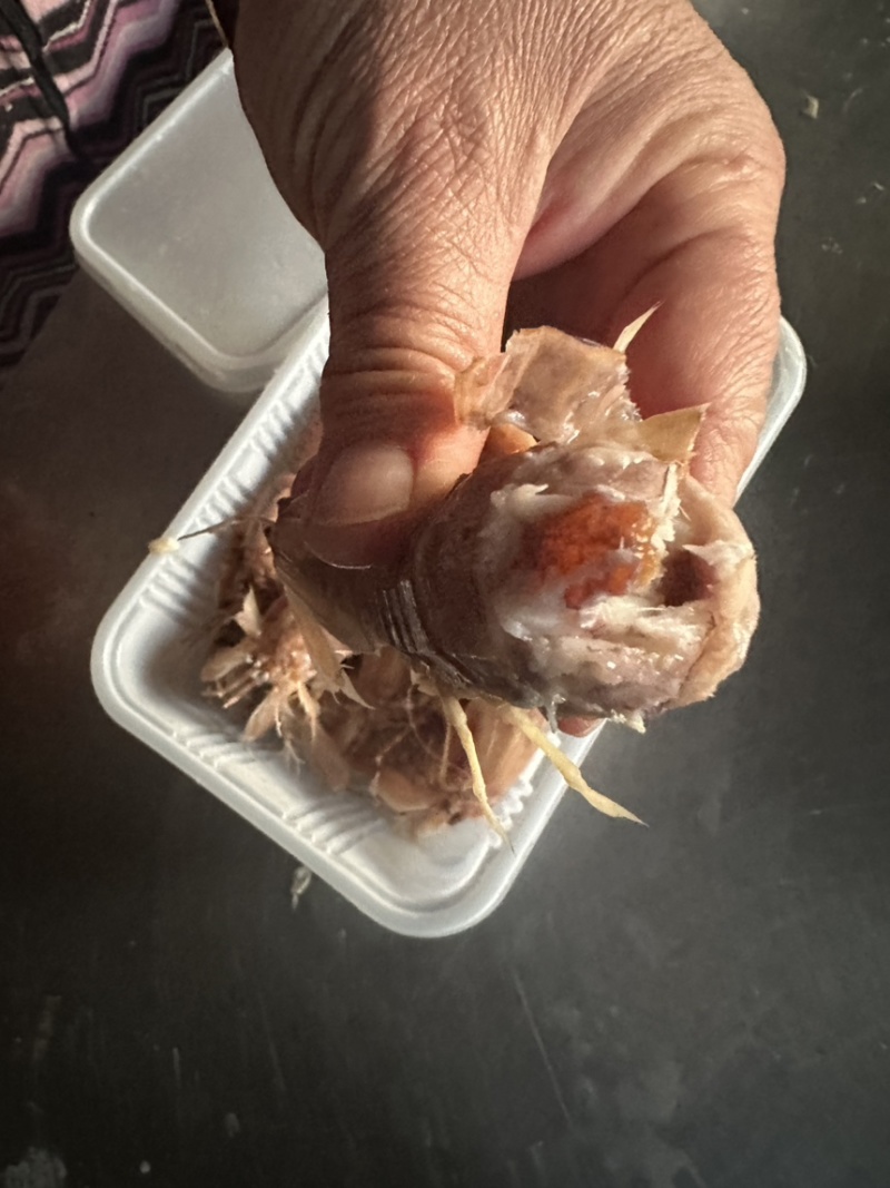 皮皮虾，爬虾，虾婆，规格齐全，品种多，批发零售