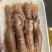皮皮虾，爬虾，虾婆，规格齐全，品种多，批发零售
