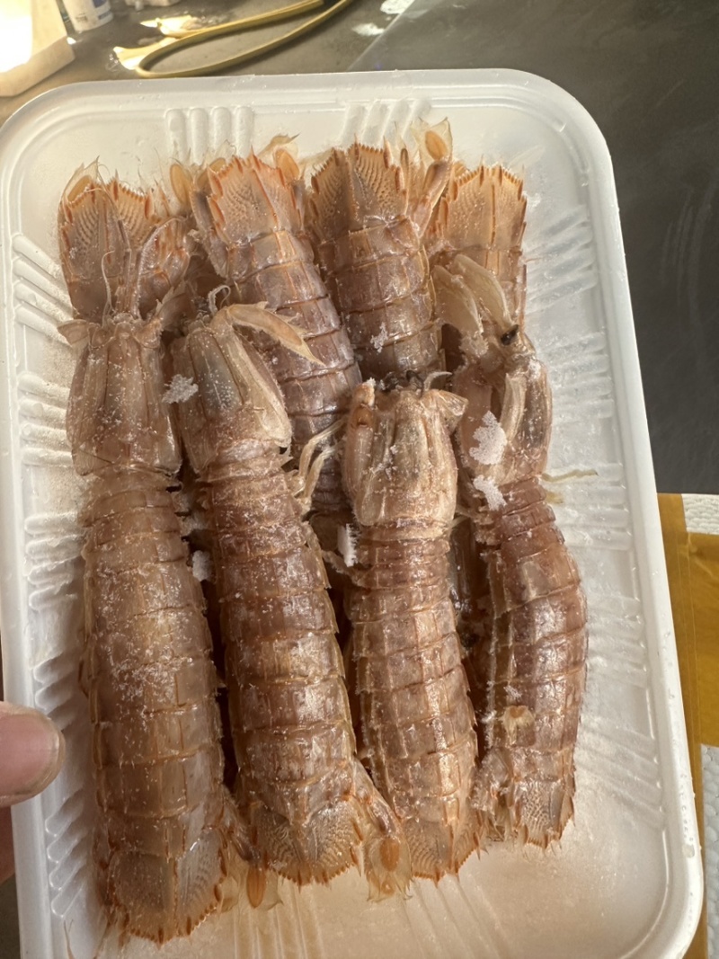 皮皮虾，爬虾，虾婆，规格齐全，品种多，批发零售