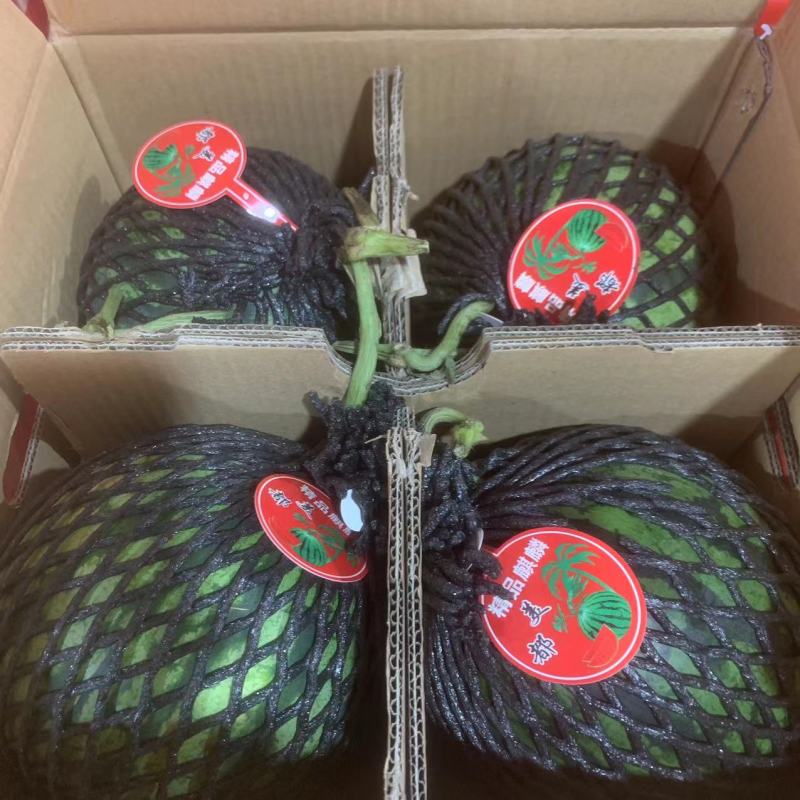 美都西瓜专业代办对接产地农户市场专卖价格好谈欢迎电联
