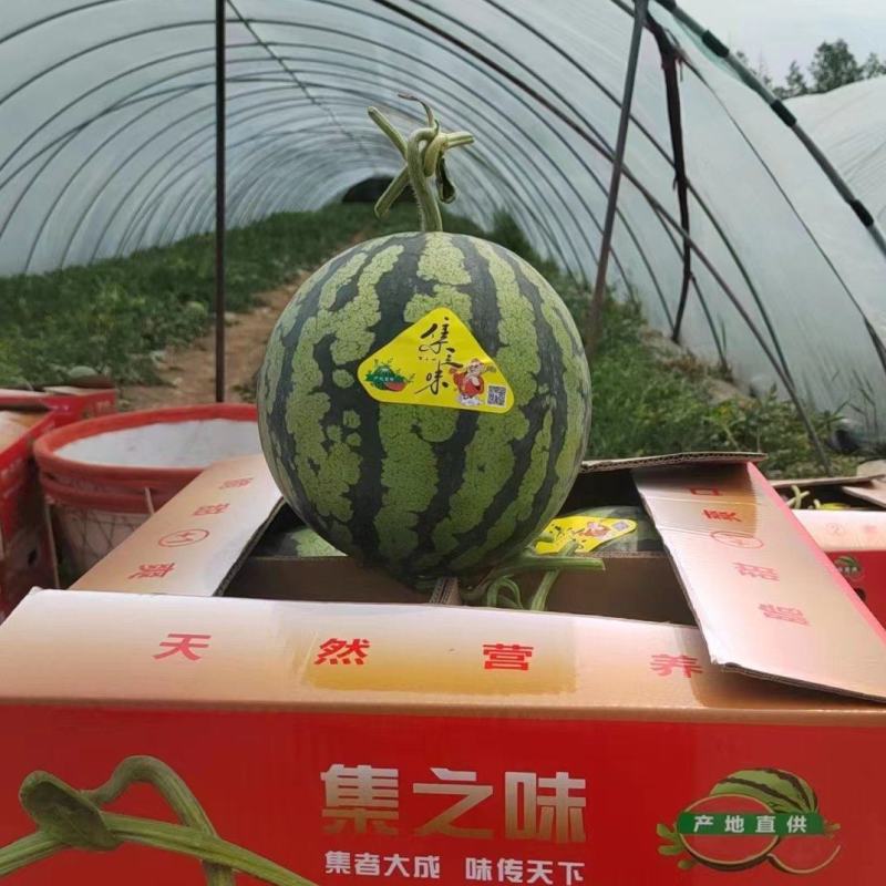 美都西瓜专业代办对接产地农户市场专卖价格好谈欢迎电联