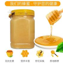 四川蜂蜜精品土蜂蜜野生土蜂蜜一件品质好价格优
