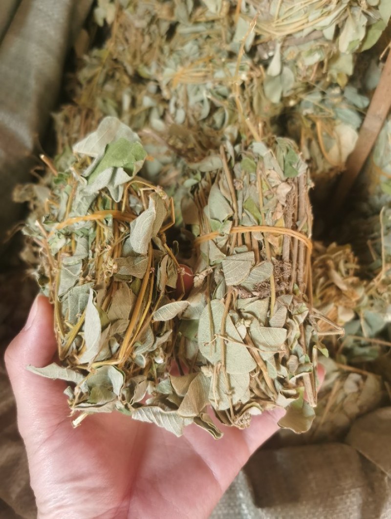 金钱草干货小札广西金钱草货源充足品质保证