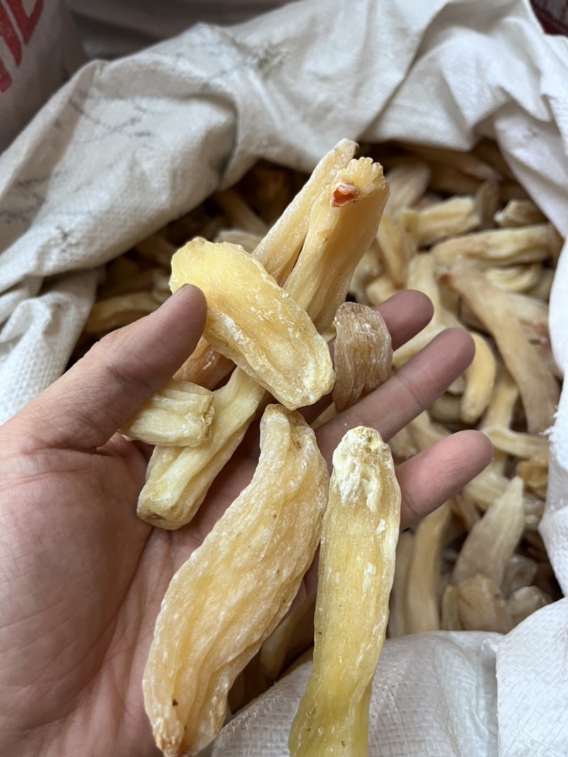 西藏雪天麻脱皮工艺2024年新货现货三吨