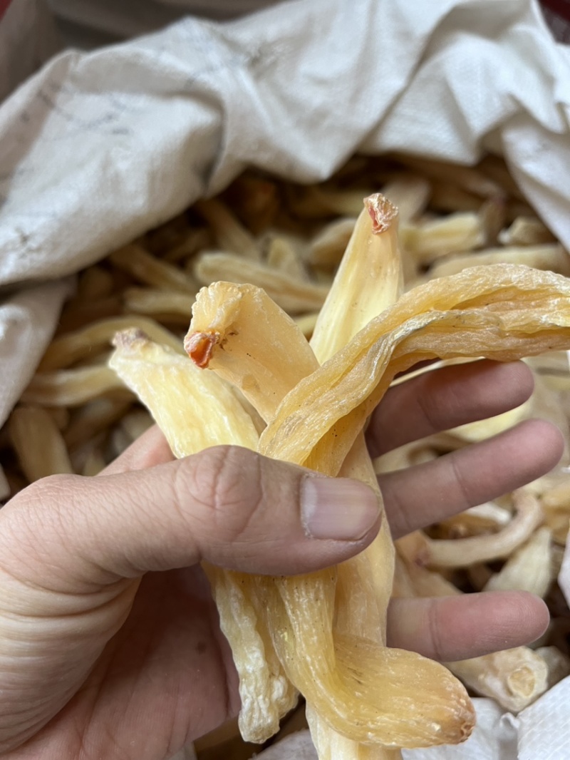 西藏雪天麻脱皮工艺2024年新货现货三吨