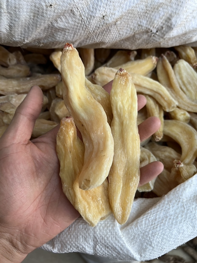 西藏雪天麻脱皮工艺2024年新货现货三吨