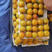 汉源精品太阳杏，货量充足，价格低，可视频看货选货