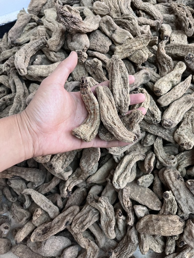 乌天麻昭通小草坝2024年现货30吨左右
