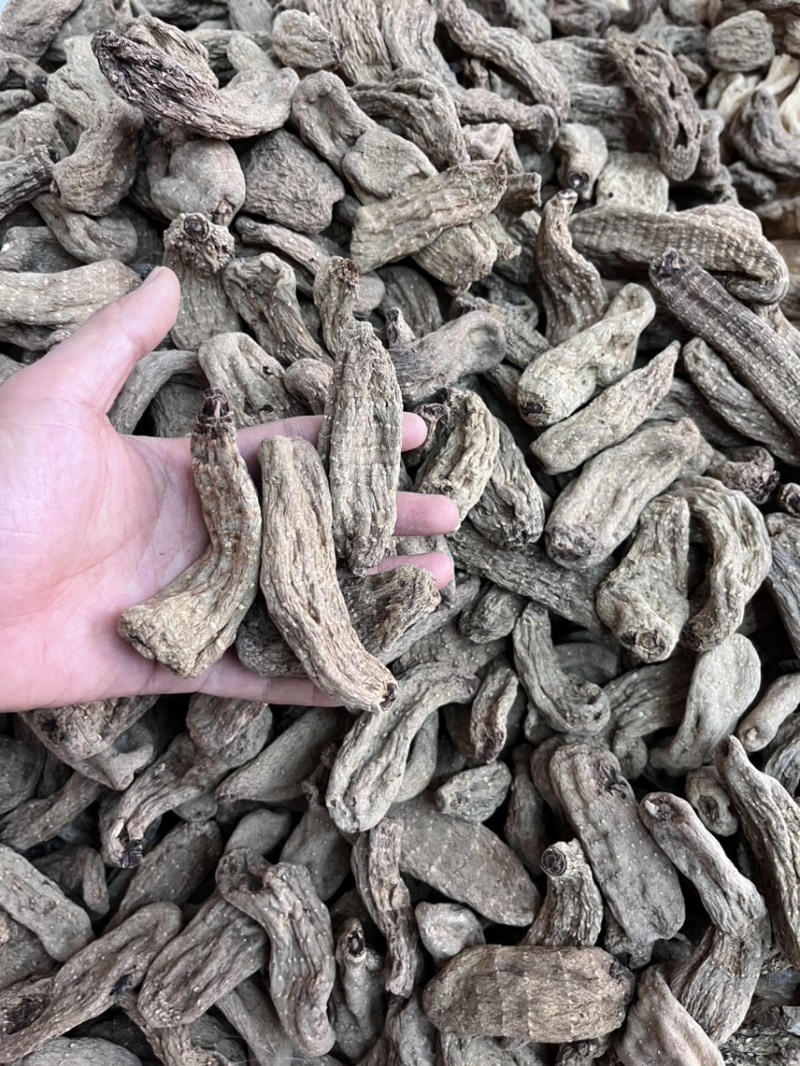 乌天麻昭通小草坝2024年现货30吨左右
