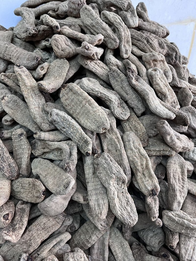 乌天麻昭通小草坝2024年现货30吨左右