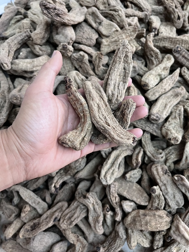乌天麻昭通小草坝2024年现货30吨左右