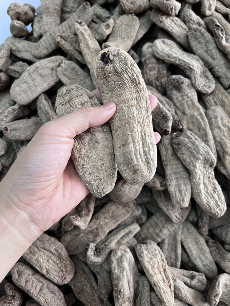 乌天麻昭通小草坝2024年现货30吨左右