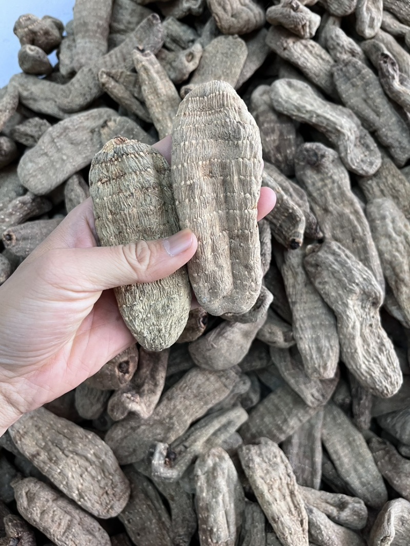 乌天麻昭通小草坝2024年现货30吨左右