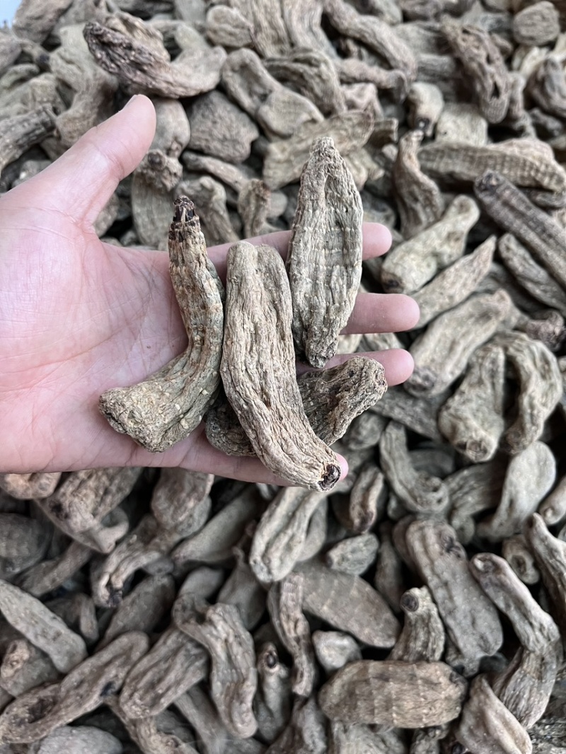 乌天麻昭通小草坝2024年现货30吨左右