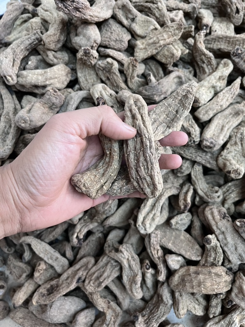 乌天麻昭通小草坝2024年现货30吨左右