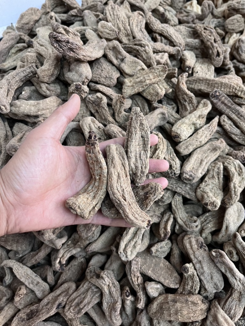 乌天麻昭通小草坝2024年现货30吨左右