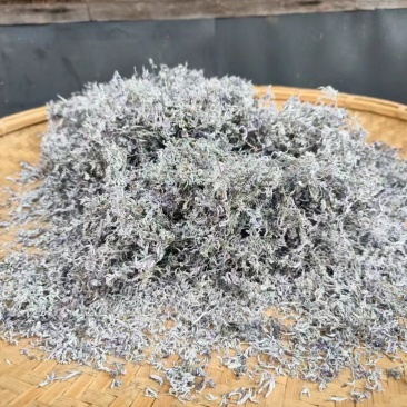 张家界山野莓茶