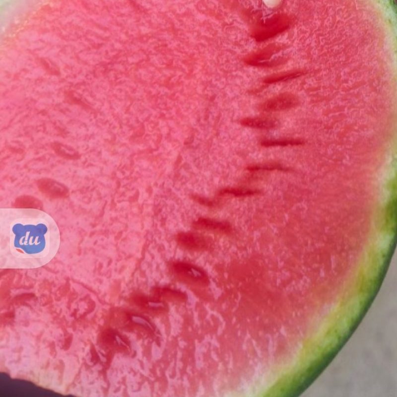 嘉秀