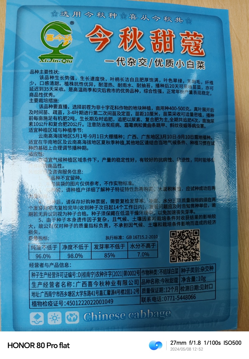 杂交一代优质黑叶小白菜抗根腐耐湿热耐雨水