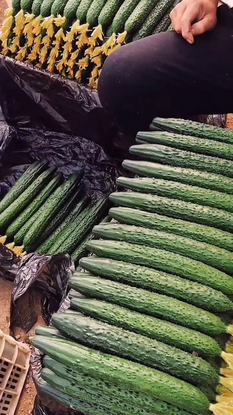 新野密刺黄瓜，百亩基地一手货源，青肉口感好，顶带花刺