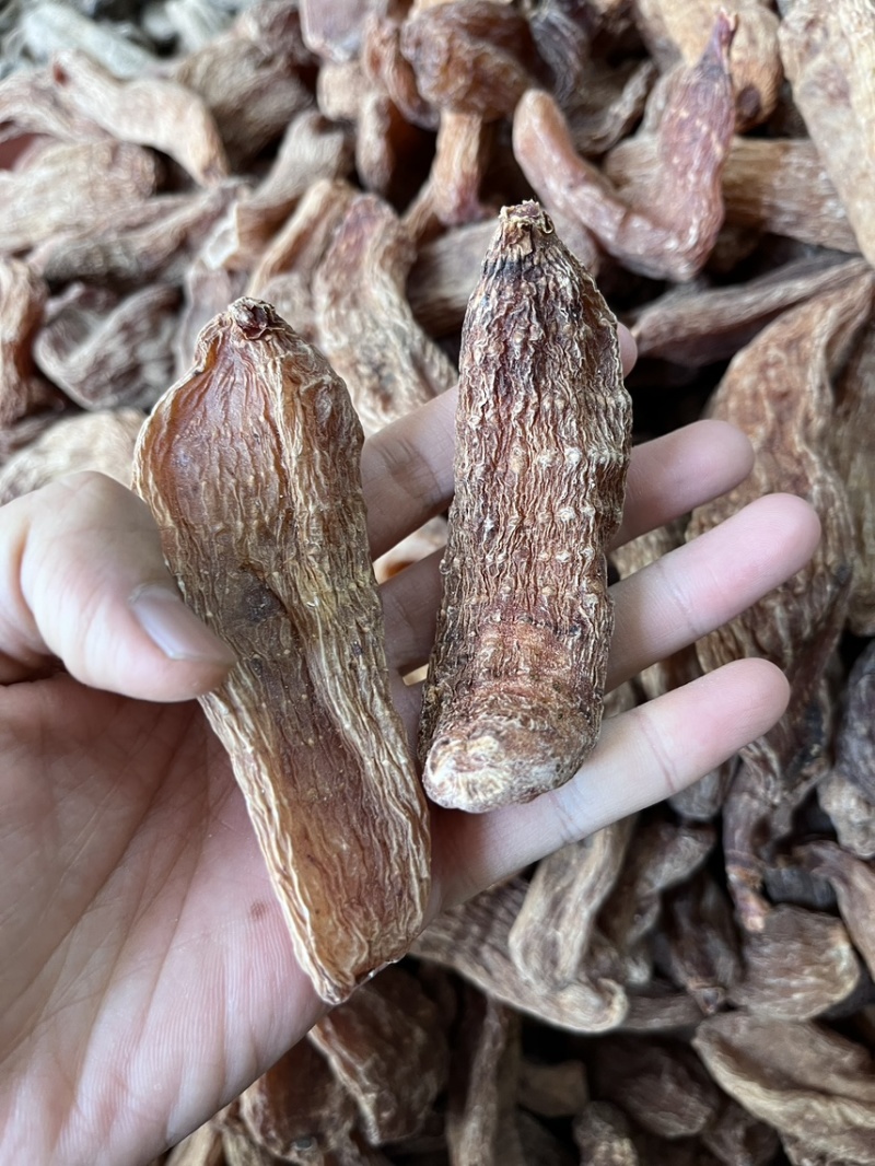 丽江血天麻红天麻现货30吨价格实惠大货可详谈