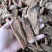 丽江血天麻红天麻现货30吨价格实惠大货可详谈