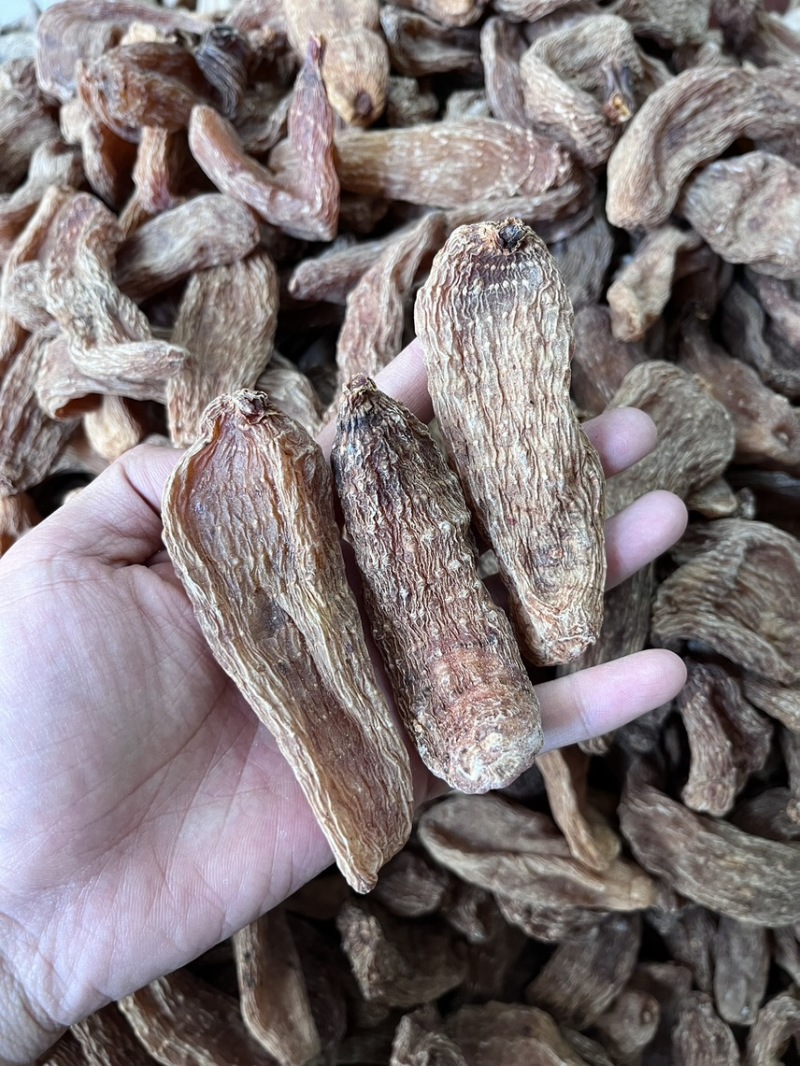 丽江血天麻红天麻现货30吨价格实惠大货可详谈