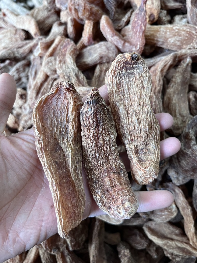 丽江血天麻红天麻现货30吨价格实惠大货可详谈