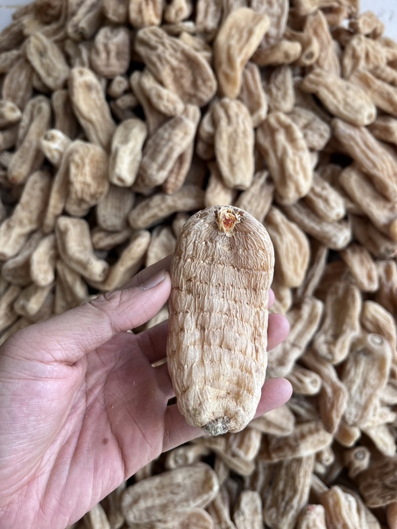 丽江血天麻红天麻现货30吨价格实惠大货可详谈