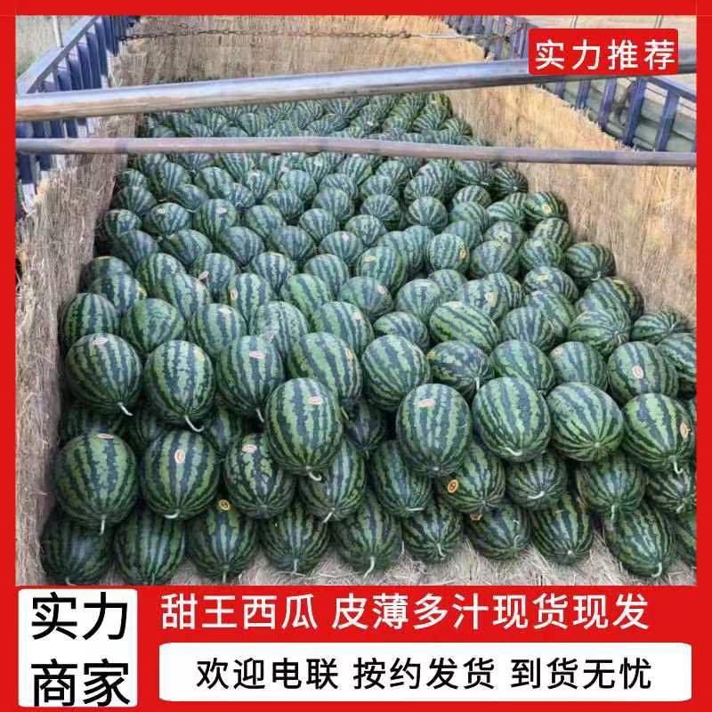 陕西万亩甜王西瓜2026上市个头大甜度好耐运输保质量