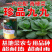 晓富珍品九九青梗菜种子耐热耐寒口感甜脆叶片深绿商品性好青菜种