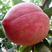 春雪毛桃，6月5号上市颜色全红，口感好单果重0.60