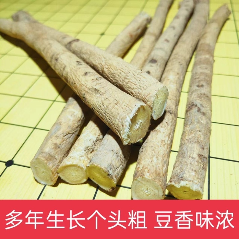 精选黄芪条甘肃岷县直发野生黄芪条