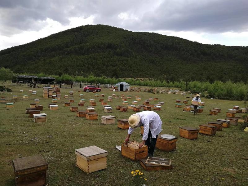 瑞丽坚果蜜、蓝莓蜜、土蜂蜜、自家蜂生产，欢迎选购。