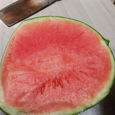 精品吊蓝西瓜