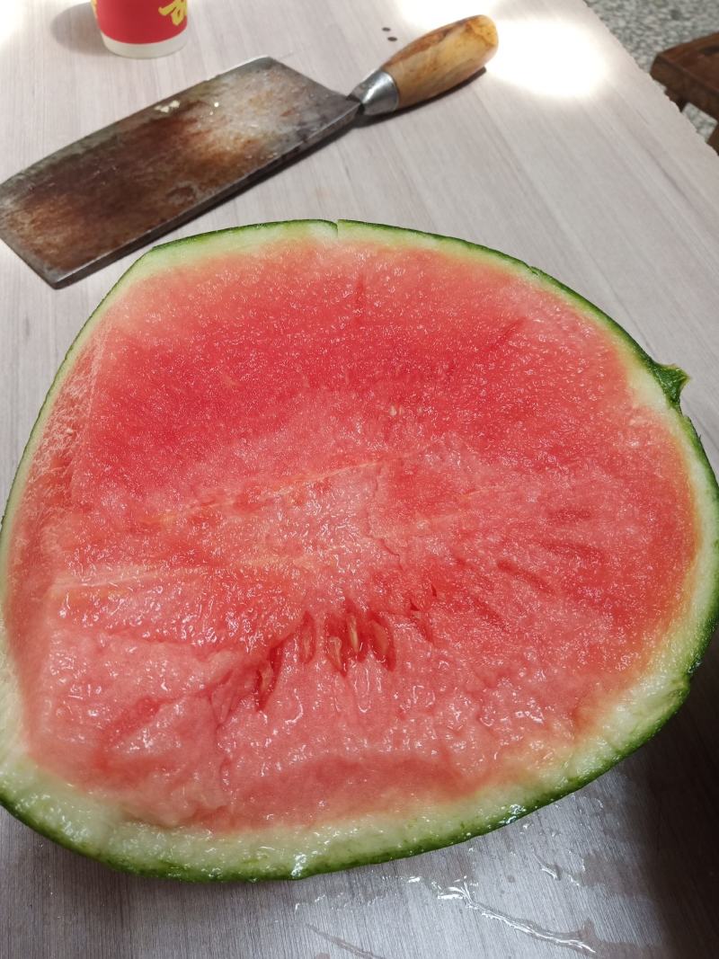 精品吊蓝西瓜