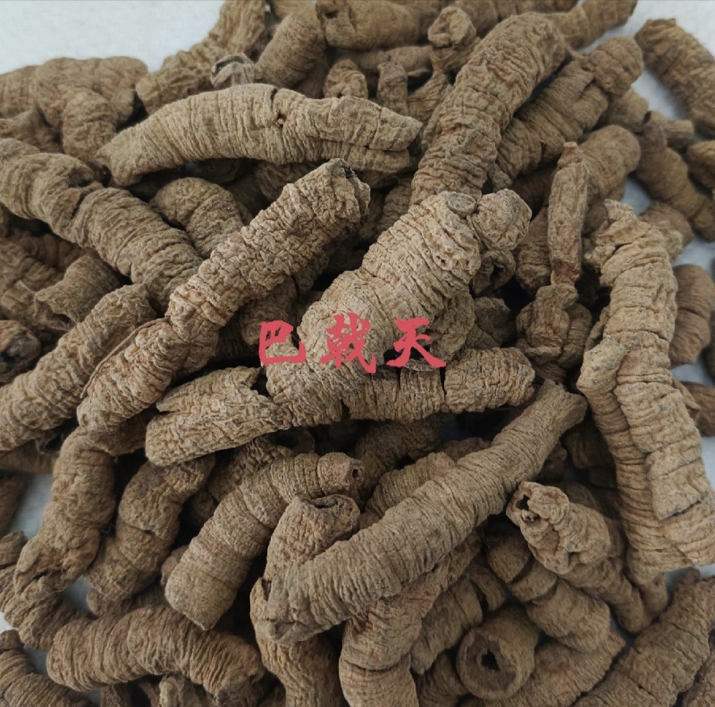 巴戟肉，巴戟天全抽芯实拍，现货，24小时内全国发货