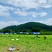 100亩菜地农田转让佛山高明更合良村