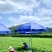 100亩菜地农田转让佛山高明更合良村