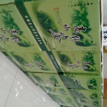 2024春茶