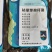枯草芽孢杆菌哈茨木霉菌叶面喷施罐根抑制真菌病