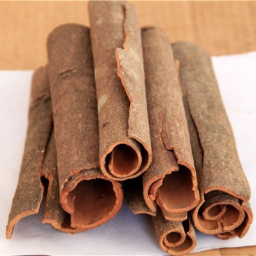 中通桂皮大料整箱卤肉卤菜大料商用八角肉桂火锅炖汤香料调料