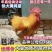 快大黄鸡苗
